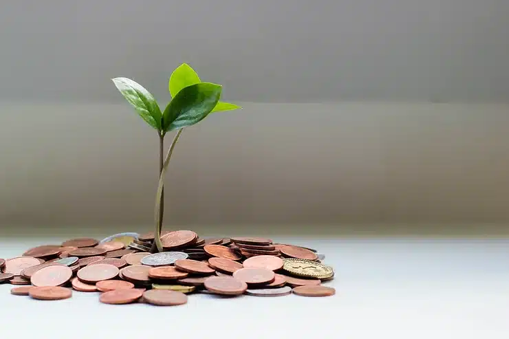 plant sprouting from pile of coins