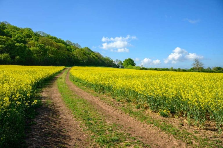 balsall common countryside